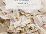 How to Dry Sourdough Starter (and Other Storage Methods)