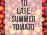 Late Summer Tomato Recipes