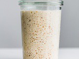 Sourdough Starter Troubleshooting Guide and faq