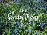 The Sunday Thymes