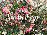 The Sunday Thymes