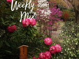 The Weekly Mix