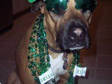 20 Spectacular St Patrick's Day Recipes