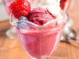 Mixed Berry Sugar-Free Frozen Yogurt