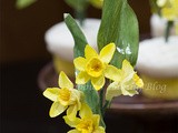 Daffodil Cupcakes, for a Sweet Wedding