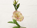 Flower Paste Lisianthus