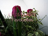 February Favourites
