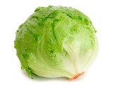 : La Lechuga