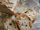 Pane di farro