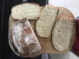 Sourdough bread – Coil Fold