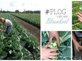 #plog van een bloemkool | De boer op #5