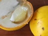 Abiu, annona atemoya, carambola e rambutan