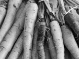 Carote sul tagliere / carrots on the cutting board