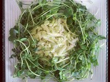 Carrot, radish and turnip salad with microgreens / insalata di carote, ravanelli, rape e micro verdure