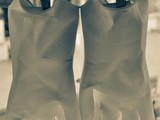Guanti da cucina / kitchen gloves