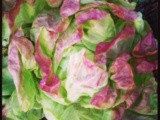 Insalata di lattuga cappuccina con cachi, avocado e mandorle / butter lettuce salad with persimmon, avocado and almonds