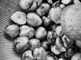 Nocciole / hazelnuts