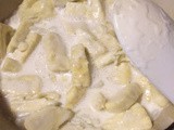 Novel Food #25: the finale