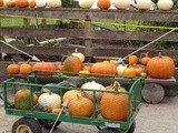 Pane alla zucca