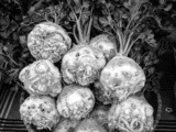 Un cesto di sedano rapa / a basket full of celeriac