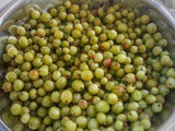 Gooseberries