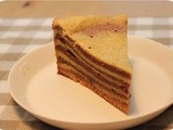 Spekkoek (Indonesian Layer Cake)