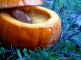 Crema di Zucca