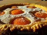 Torta di ricotta e albicocche