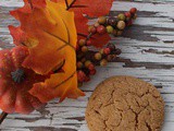 Apple Cider Ginger Doodle Cookies