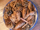 Cinnamon Pinecones