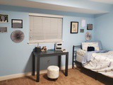 Dog Themed Bedroom For Girls Boys or Teens