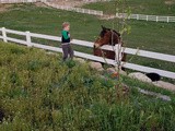 My Nephew with Autism + Stewie Boom