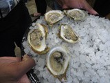 My forgotten oyster tasting