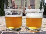 Taste test: Stone-style IPAs