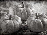 Announcing Black and White Wednesday # 148-Halloween Edition