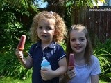 Homemade Ice Lollies: Peach Melba Smoothies – Center Parcs Family Blogger Challenge