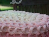 Ombre Ruffle Cake Tutorial