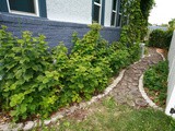 Diy Wood Slice Path