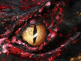 Smaug Costume