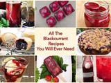 All The Blackcurrant Recipes You Will Ever Need