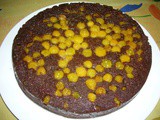 Chocolate Ground Cherry Upside Down Cake