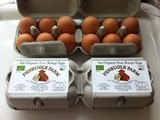 Organic Eggs and a Cornish Holiday Discount