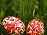 Pasqua