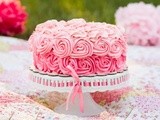 Pink Rose Cake And a Photo Shoot