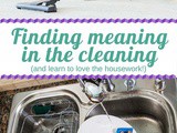 Finding meaning in the cleaning
