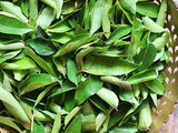 Curry leaves- How To Buy, Store & Use