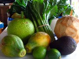 Adventures with Breadfruit