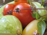 Baby Lettuces with Trombocino and Tomato