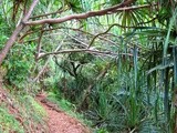 Kauai, Day 3
