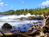 Maui, Day 6: Fried Red Bananas and a Rainbow of Beaches